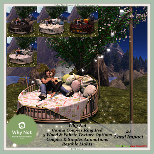 Why Not - Canna Couples Ring Bed Texture Change-Boxed