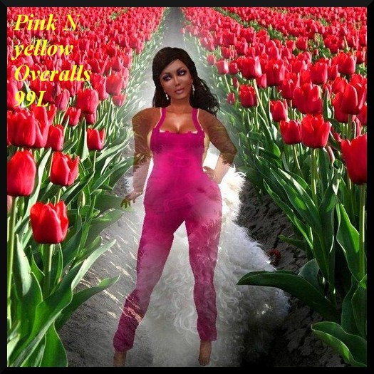 Pink N yellow overalls