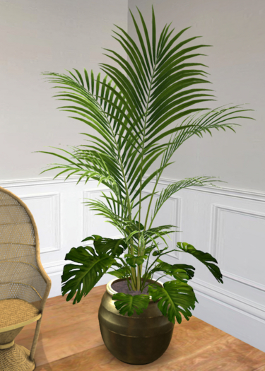 Song's Palm and Philodrendon Planter