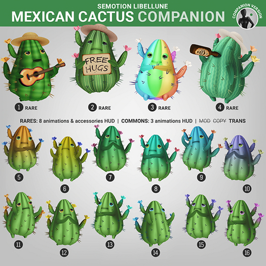 4. SEmotion Libellune Mexican Cactus Companion RARE