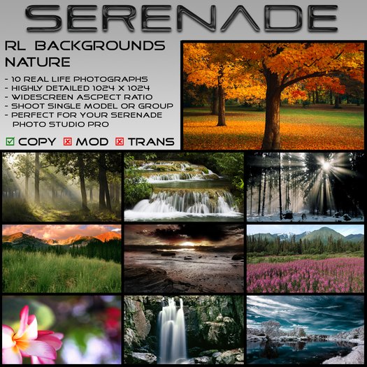SERENADE RL Backgrounds - Nature, photography, photo studio