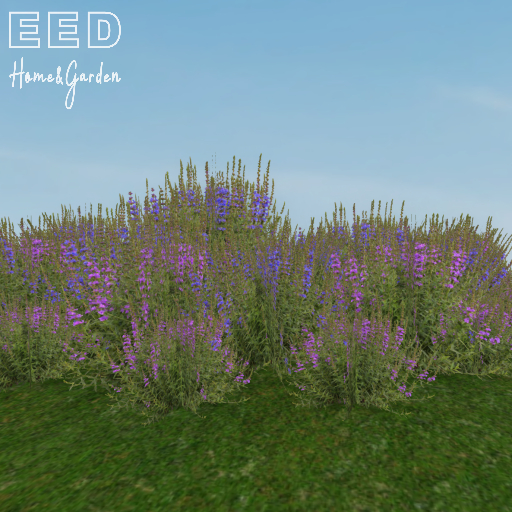 EED's HEATHER resizer c