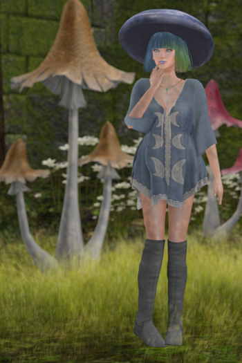 Dreaming Thicket - Mushroom Cap - Milk Cap Box