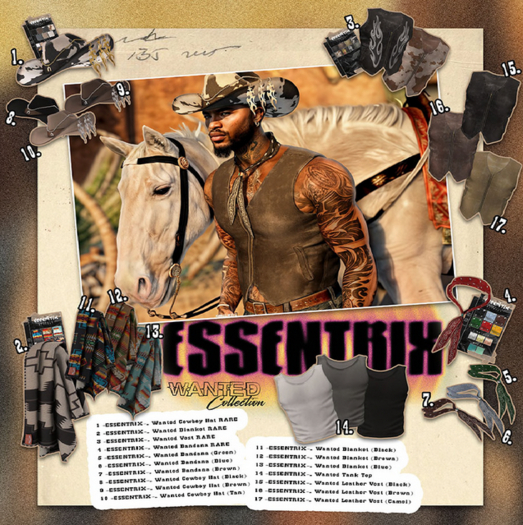 1. -ESSENTRIX-. Wanted Cowboy Hat RARE