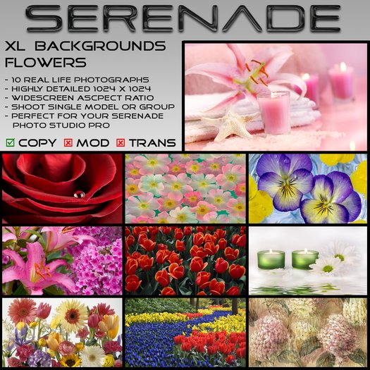 SERENADE XL Backgrounds - Flowers, photography, photo studio