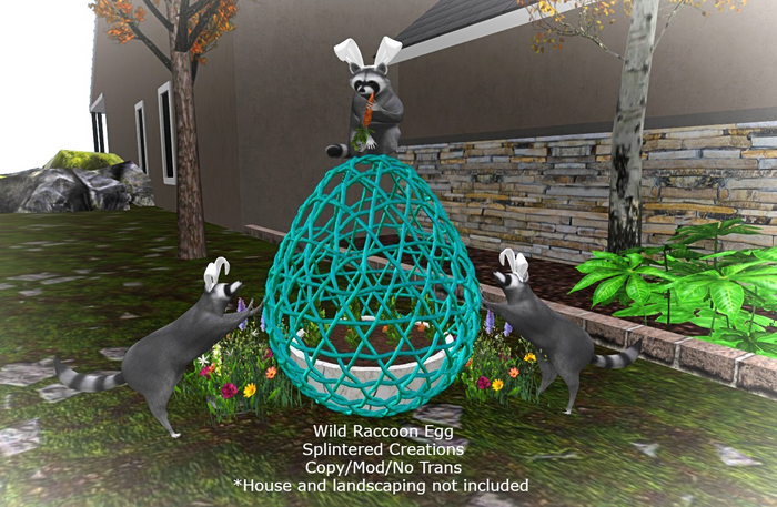 Wild Raccoon Easter Egg 
