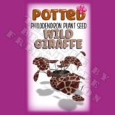 Potted: Philodendron Plant Seed: Wild Giraffe (ACTUAL PLANT SEED) - Retired!