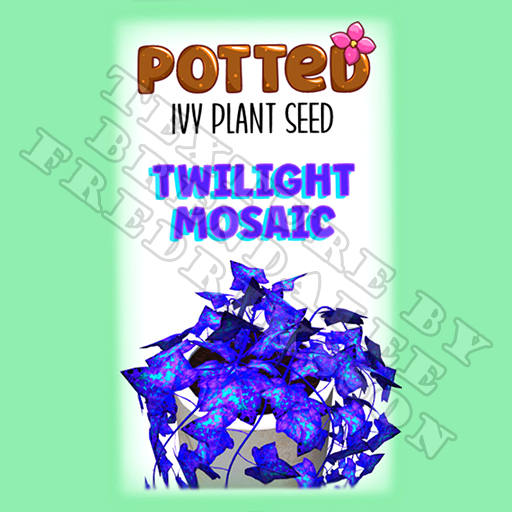 Potted: Ivy Plant Seed: Twilight Mosaic (ACTUAL PLANT SEED) - Retired!