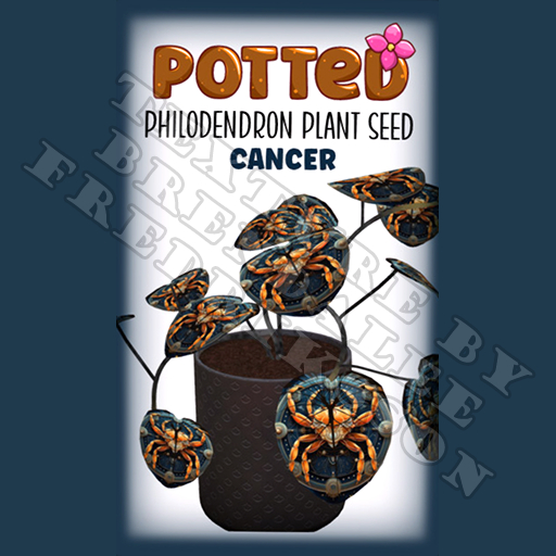Potted: Philodendron Plant Seed: Cancer (ACTUAL PLANT SEED)