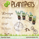 PlantPet Seed [Liriope *Printemps*] - Limited -  Updated