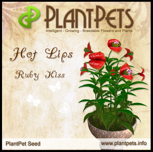 PlantPet Seed [Hot Lips *Ruby Kiss*]common