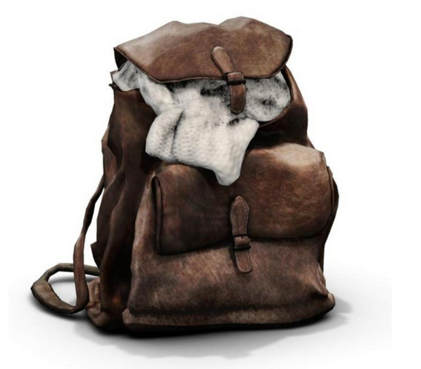 dust bunny . storybook living . old backpack . boxed