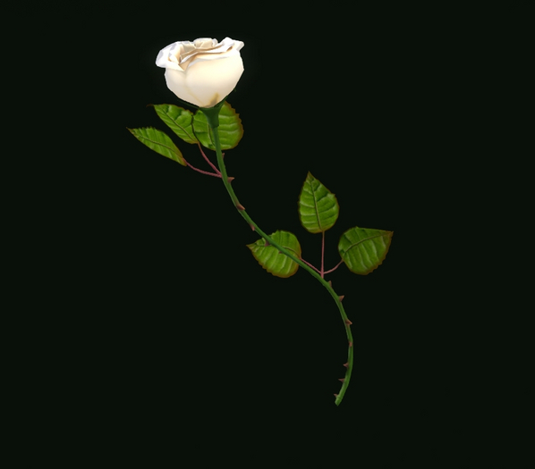 [AG] Longstem White Rose (Mod/Copy)