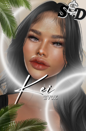 S$D ~KEI EVOX