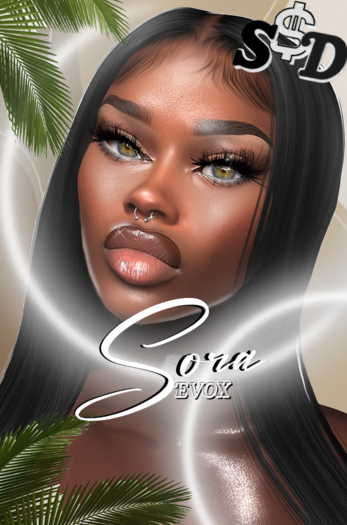 S$D ~SORA EVOX 3