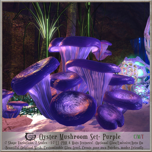 [CC] Oyster Mushroom Set- Purple