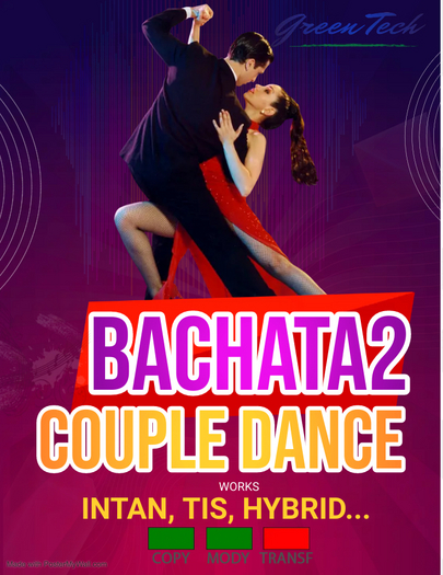 Couple Dance Bachata2