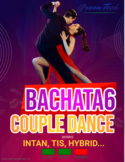 Couple Dance Bachata6