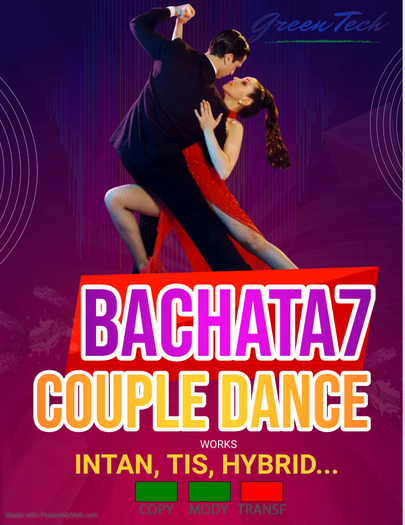 Couple Dance Bachata7