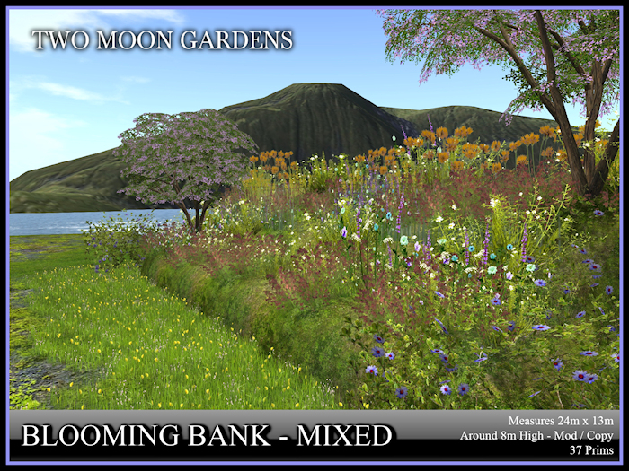FLOWER BORDER