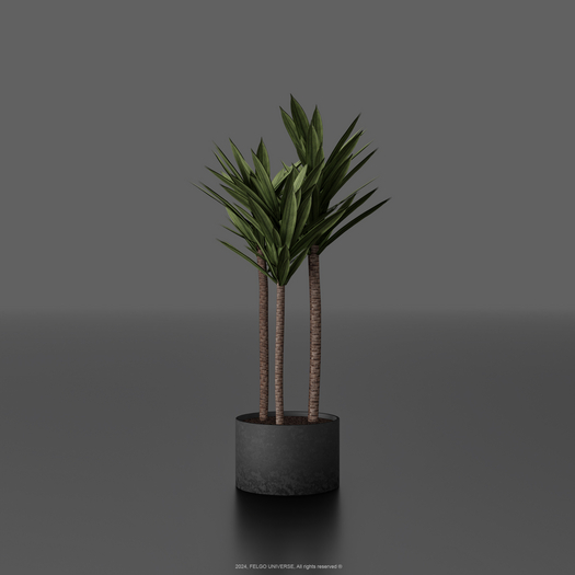 FELGO Universe // Potted plant 01