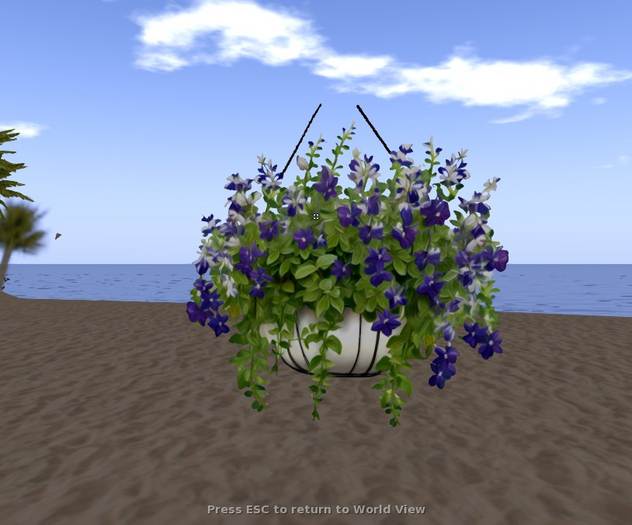 Purple hanging flowers texture * hanging basket *