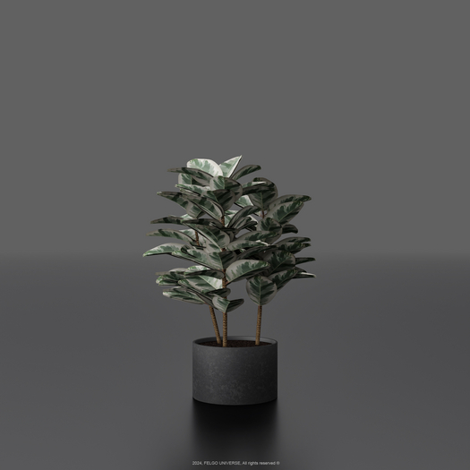 FELGO Universe // Potted plant 02