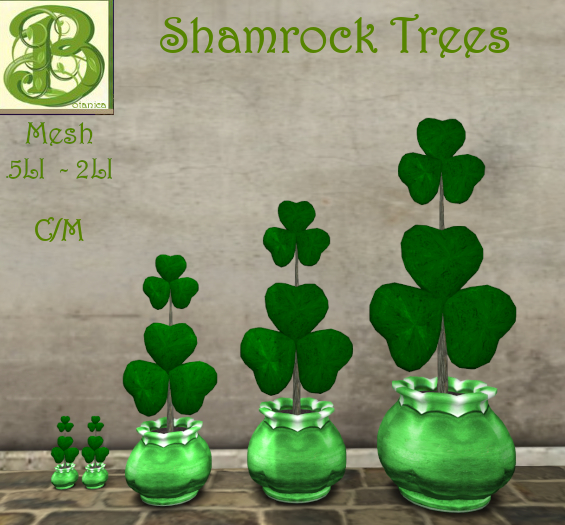 Potted Shamrock Trees, .5 to 2 LI 