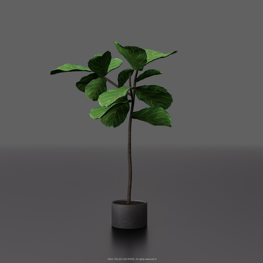 FELGO Universe // Potted plant 03