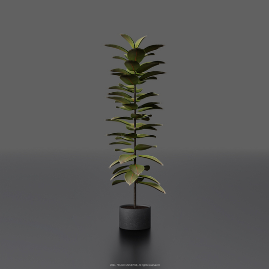 FELGO Universe // Potted plant 04