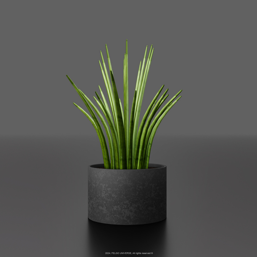 FELGO Universe // Potted plant 05