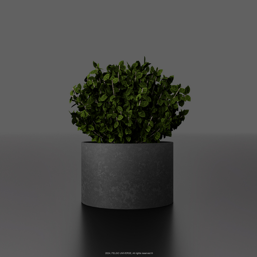FELGO Universe // Potted plant 06