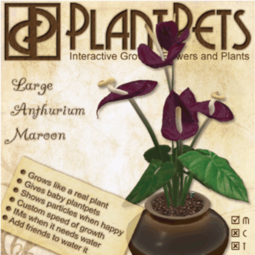 PlantPet Seed [Large Anthurium *Maroon*]