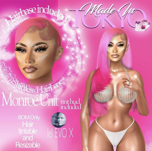 MnT:// Monroe Unit