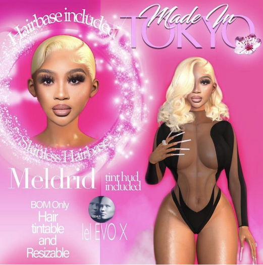 MnT:// Meldrid Unit