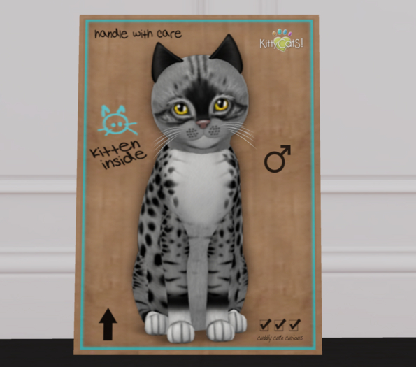 KittyCatS - Bandit II