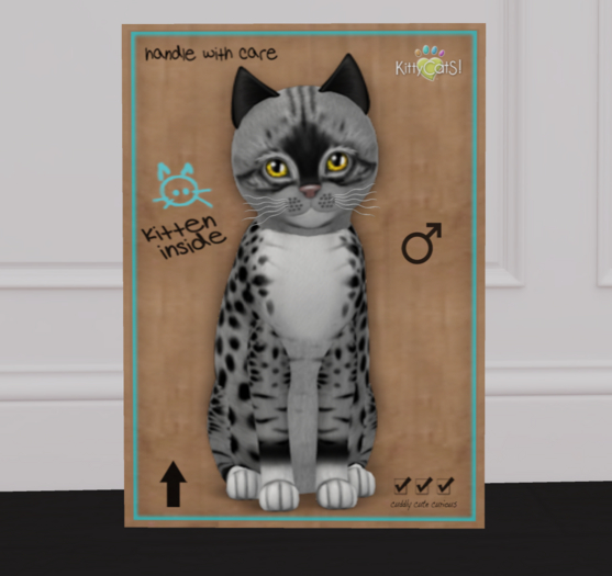 KittyCatS - Bandit II