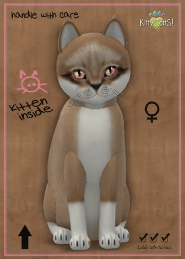 KittyCatS Box - MegaPuss
