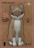 KittyCatS Box - MegaPuss