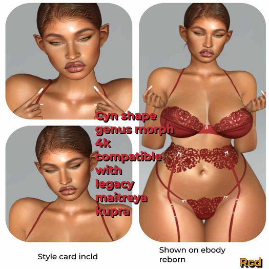 GENUS MORPH- CYN SHAPE