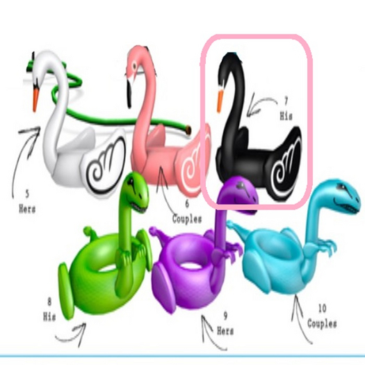 Stockholm&Lima:Pool Swan (His)