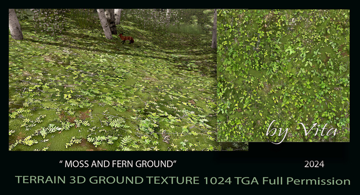 Vita's 3D Ground Texture - MOSS AND FERN GROUND 2024