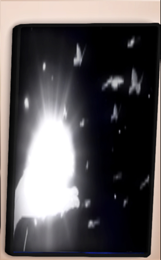 :: Bloom & Soar  ::  Dynamic Art :: Poster ::