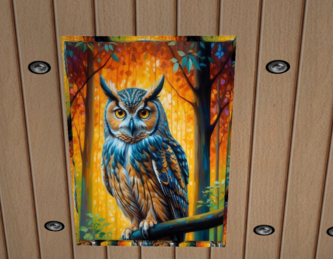 Owl Art