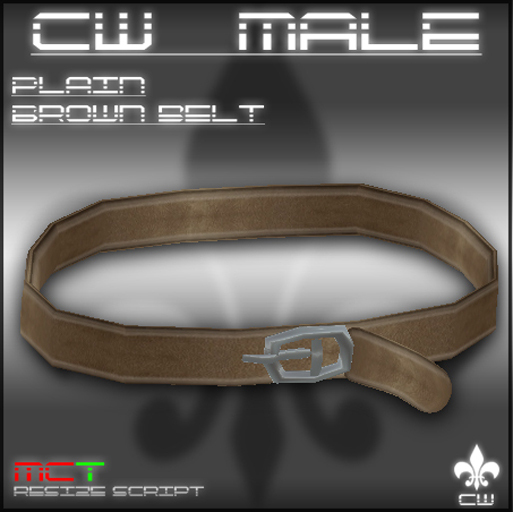 .:CW MALE:. Plain Brown Belt