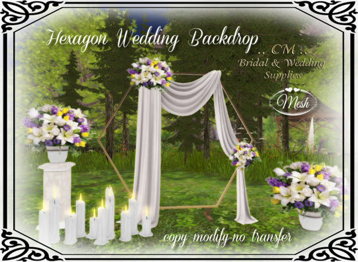 CM..Hexagon Wedding Backdrop BOX