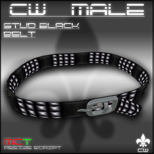 .:CW MALE:. Studded Black Belt