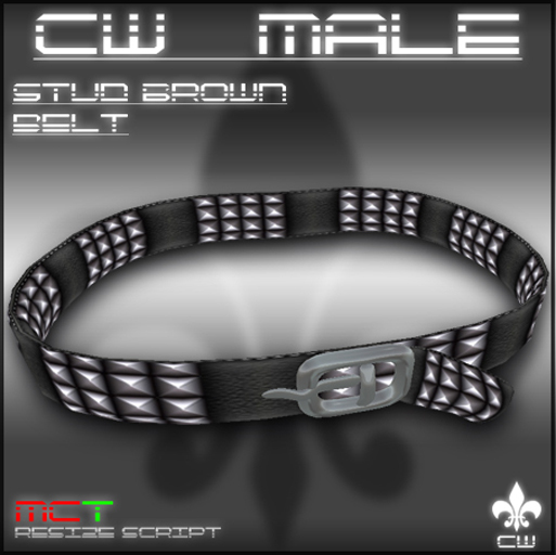 .:CW MALE:. Studded Brown Belt