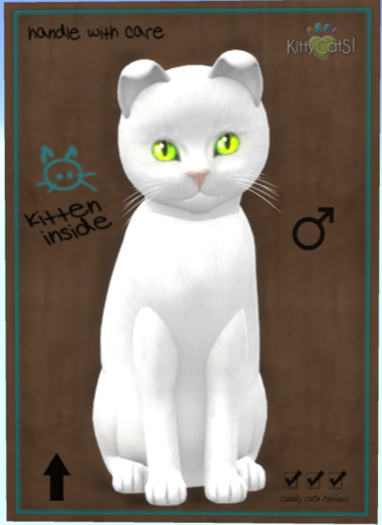 KittyCatS Box - Russian - White