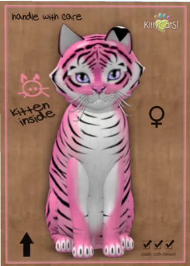 KittyCatS Box - Tiger! - Pinkie Winkie